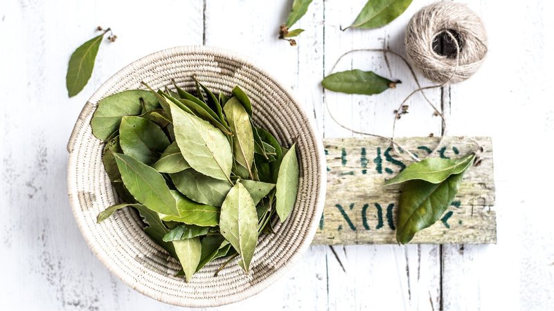 Bay Leaf (Tej Patta) Benefits, 8 Reasons Why You Should Use It